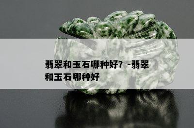 翡翠和玉石哪种好？-翡翠和玉石哪种好