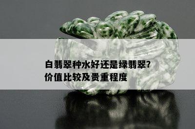 白翡翠种水好还是绿翡翠？价值比较及贵重程度