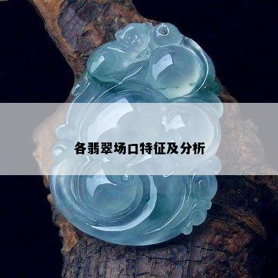 各翡翠场口特征及分析