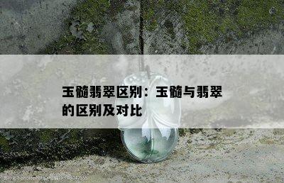 玉髓翡翠区别：玉髓与翡翠的区别及对比