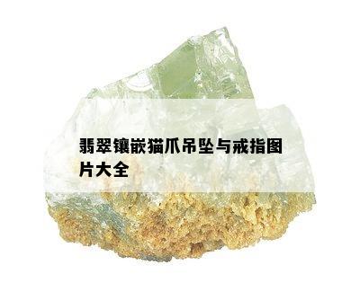 翡翠镶嵌猫爪吊坠与戒指图片大全