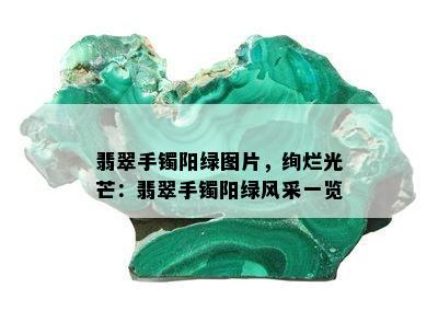 翡翠手镯阳绿图片，绚烂光芒：翡翠手镯阳绿风采一览