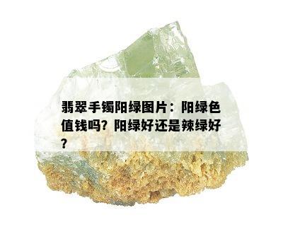 翡翠手镯阳绿图片：阳绿色值钱吗？阳绿好还是辣绿好？