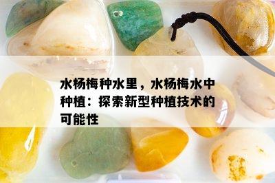 水杨梅种水里，水杨梅水中种植：探索新型种植技术的可能性