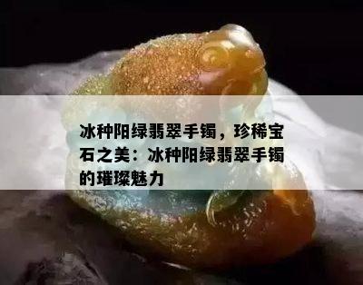 冰种阳绿翡翠手镯，珍稀宝石之美：冰种阳绿翡翠手镯的璀璨魅力