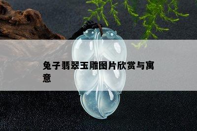 兔子翡翠玉雕图片欣赏与寓意