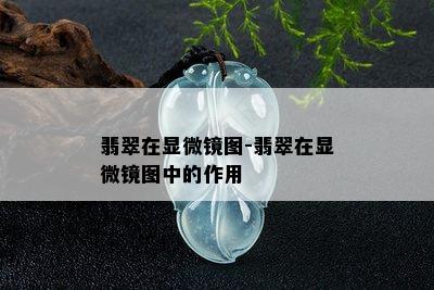 翡翠在显微镜图-翡翠在显微镜图中的作用