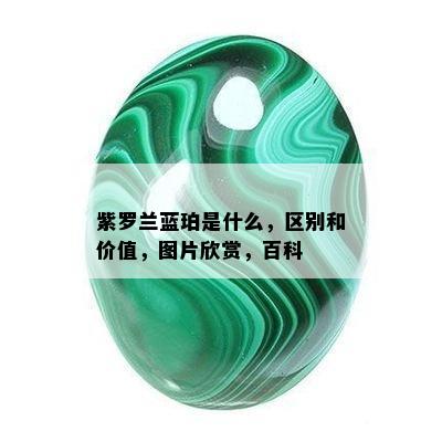 紫罗兰蓝珀是什么，区别和价值，图片欣赏，百科