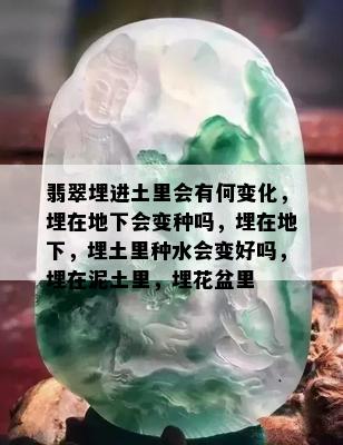 翡翠埋进土里会有何变化，埋在地下会变种吗，埋在地下，埋土里种水会变好吗，埋在泥土里，埋花盆里