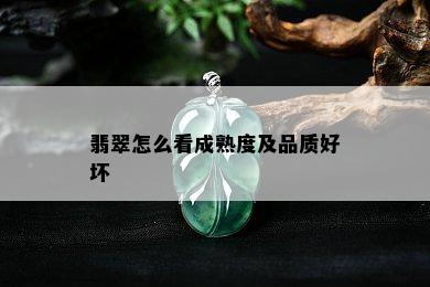 翡翠怎么看成熟度及品质好坏