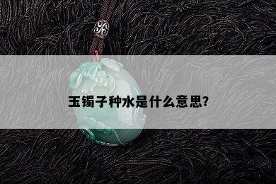 玉镯子种水是什么意思？