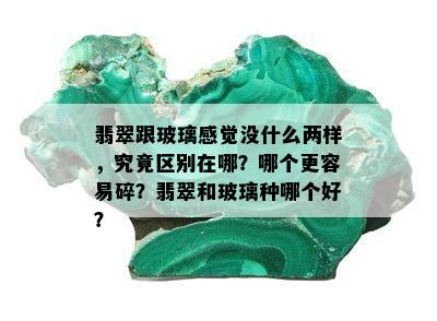 翡翠跟玻璃感觉没什么两样，究竟区别在哪？哪个更容易碎？翡翠和玻璃种哪个好？