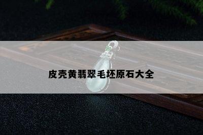 皮壳黄翡翠毛坯原石大全