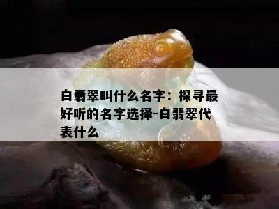 白翡翠叫什么名字：探寻更好听的名字选择-白翡翠代表什么