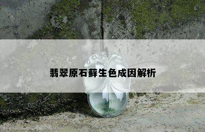 翡翠原石藓生色成因解析