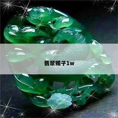 翡翠镯子1w