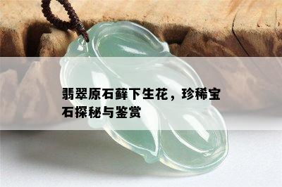 翡翠原石藓下生花，珍稀宝石探秘与鉴赏