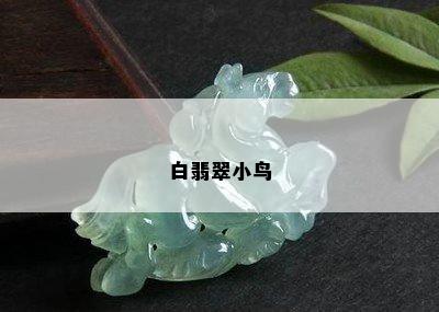 白翡翠小鸟