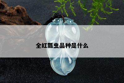 全红瓢虫品种是什么