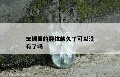 玉镯里的裂纹戴久了可以没有了吗