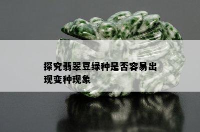 探究翡翠豆绿种是否容易出现变种现象