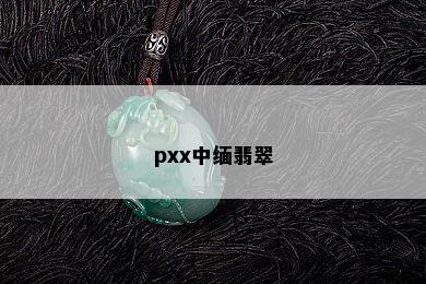 pxx中缅翡翠