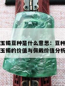 玉镯豆种是什么意思：豆种玉镯的价值与佩戴价值分析