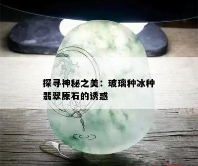 探寻神秘之美：玻璃种冰种翡翠原石的诱惑