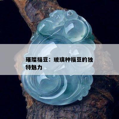 璀璨福豆：玻璃种福豆的独特魅力