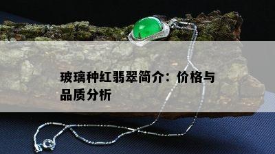 玻璃种红翡翠简介：价格与品质分析