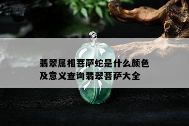 翡翠属相菩萨蛇是什么颜色及意义查询翡翠菩萨大全