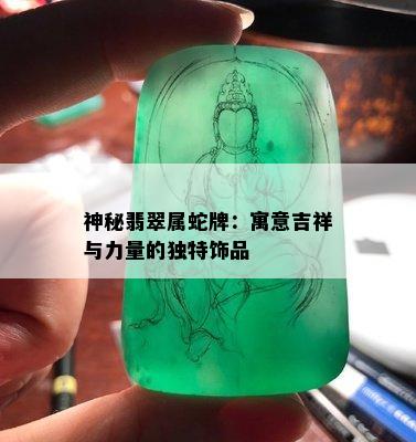 神秘翡翠属蛇牌：寓意吉祥与力量的独特饰品