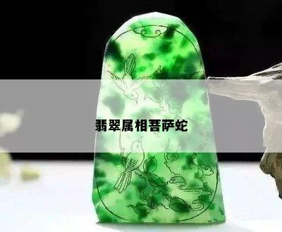 翡翠属相菩萨蛇