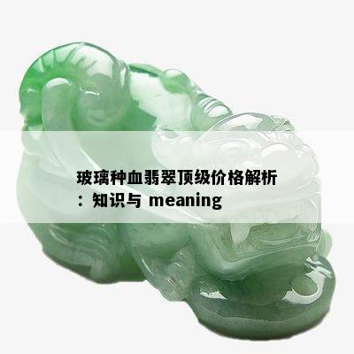 玻璃种血翡翠顶级价格解析：知识与 meaning