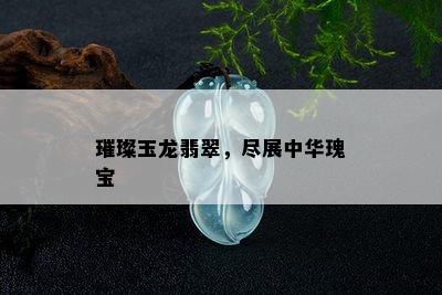 璀璨玉龙翡翠，尽展中华瑰宝