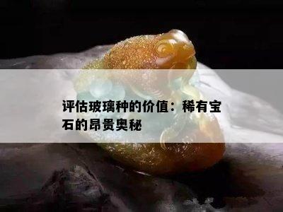 评估玻璃种的价值：稀有宝石的昂贵奥秘