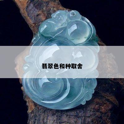 翡翠色和种取舍