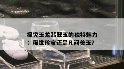 探究玉龙翡翠玉的独特魅力：稀世珍宝还是凡间美玉？