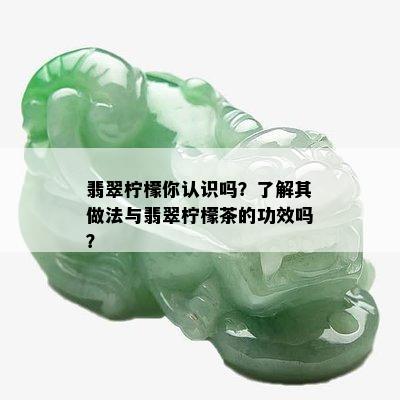 翡翠柠檬你认识吗？了解其做法与翡翠柠檬茶的功效吗？