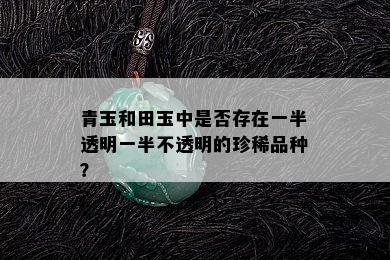 青玉和田玉中是否存在一半透明一半不透明的珍稀品种？