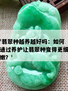 '翡翠种越养越好吗：如何通过养护让翡翠种变得更细嫩？'