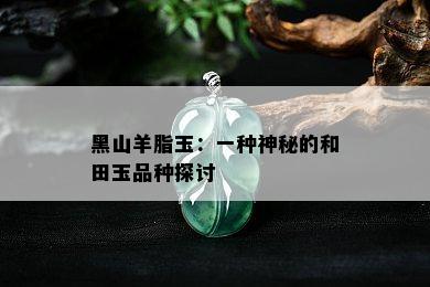 黑山羊脂玉：一种神秘的和田玉品种探讨