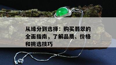 从缘分到选择：购买翡翠的全面指南，了解品质、价格和挑选技巧