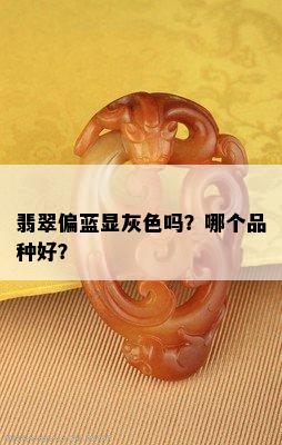 翡翠偏蓝显灰色吗？哪个品种好？