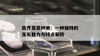 南齐翡翠种嫩：一种独特的玉石魅力与特点解析