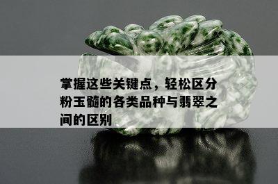 掌握这些关键点，轻松区分粉玉髓的各类品种与翡翠之间的区别