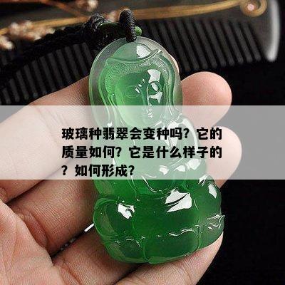 玻璃种翡翠会变种吗？它的质量如何？它是什么样子的？如何形成？