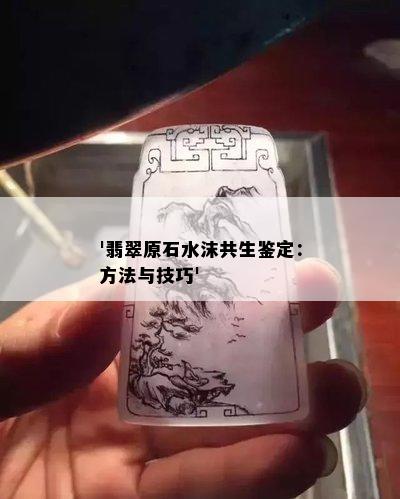 '翡翠原石水沫共生鉴定：方法与技巧'