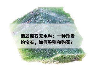 翡翠原石无水种：一种珍贵的宝石，如何鉴别和购买？