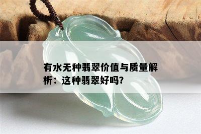 有水无种翡翠价值与质量解析：这种翡翠好吗？